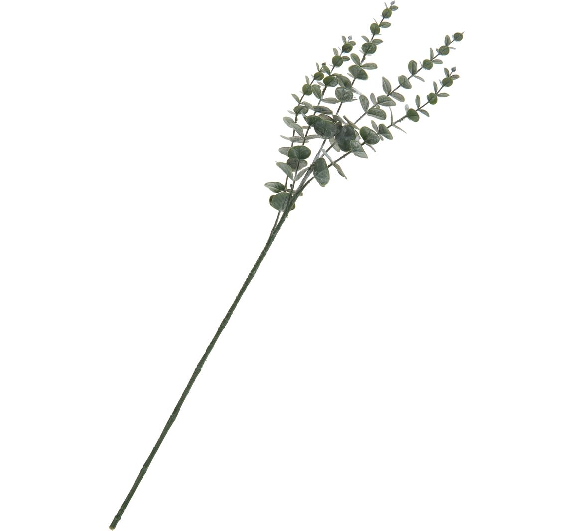 Eukalyptus-Zweig, beschneit