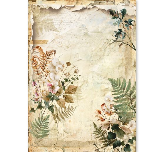 Ciao Bella Motiv-Strohseiden Sortiment "The Nature Journal", 8er-Set