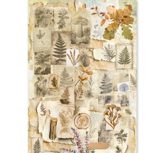 Ciao Bella Motiv-Strohseiden Sortiment "The Nature Journal", 8er-Set