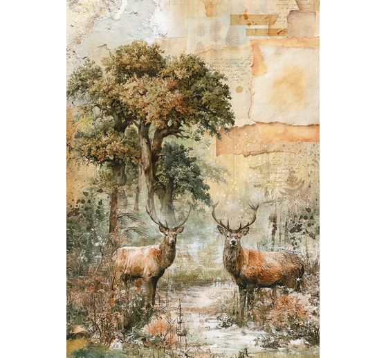 Ciao Bella Motiv-Strohseiden Sortiment "The Nature Journal", 8er-Set