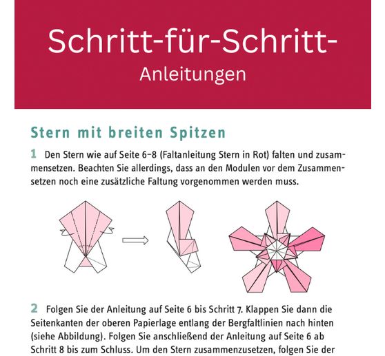 Buch "Zarte Origamisterne (kreativ.kompakt.)"