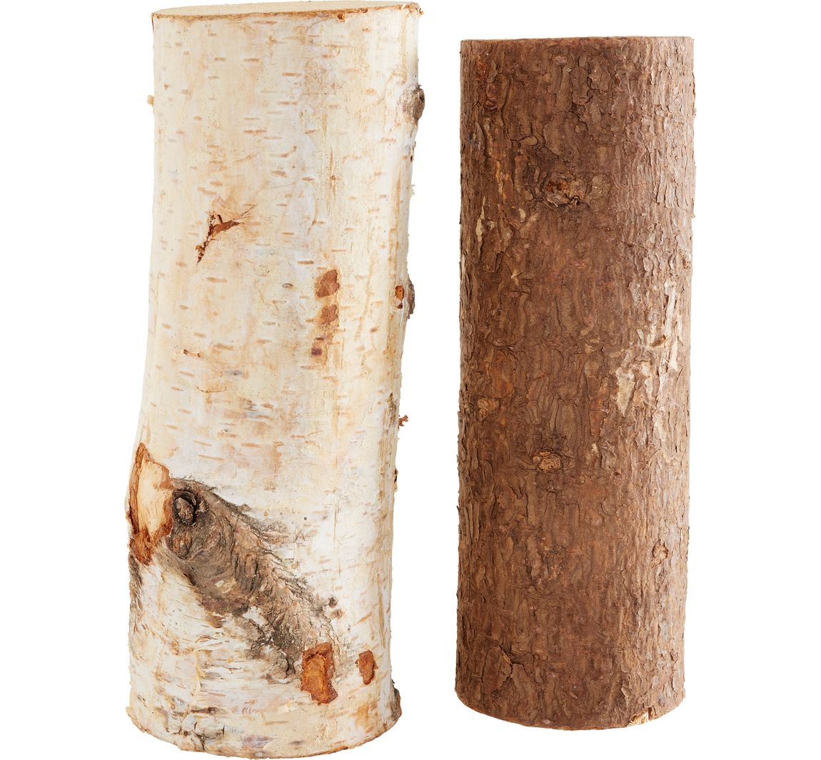 Holzstamm mit Rinde