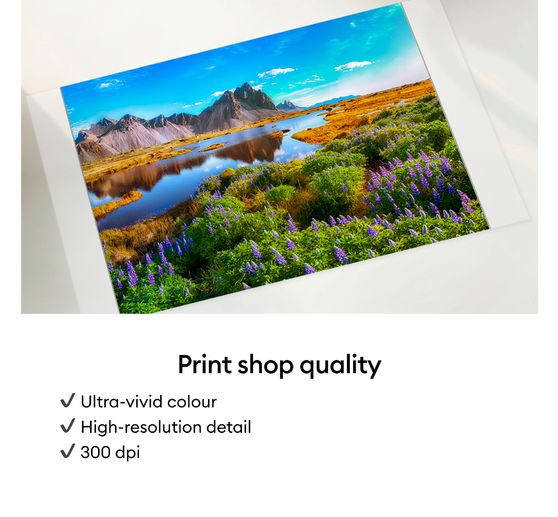 Cricut StickerPix Print + Cut "Gemini" Essential Bundle