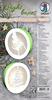Lightboxes "Christmas elves", set of 2