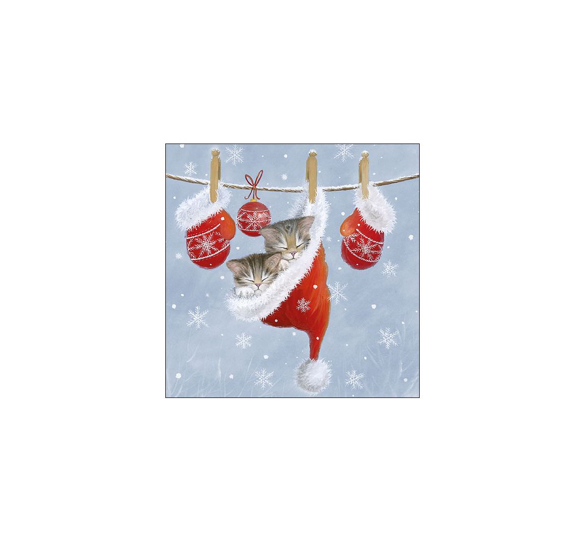 Serviette Kätzchen in Weihnachtsmütze - 5 Stück