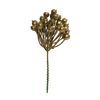 Beeren Pick "Metallic" Gold