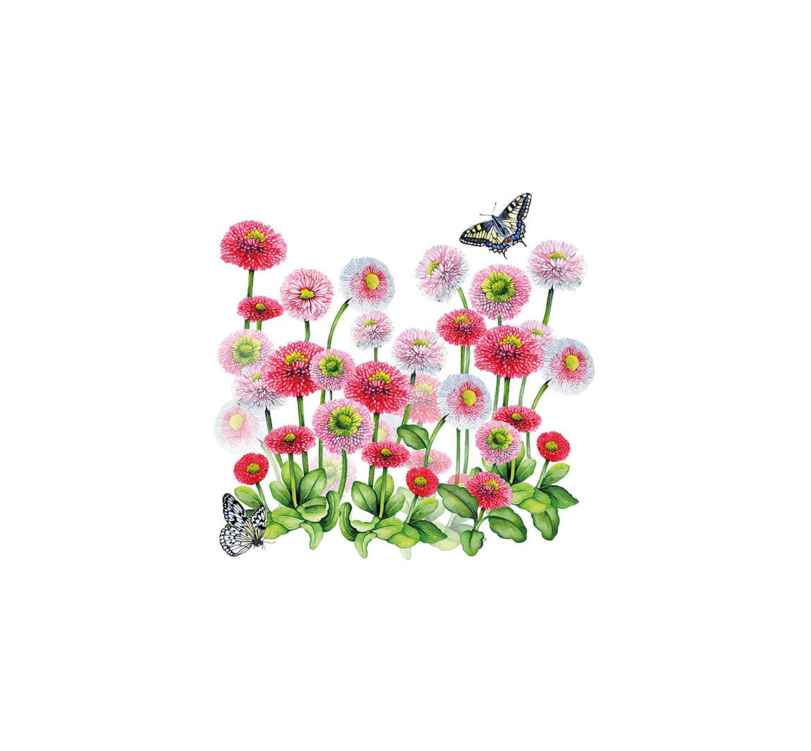 Serviette Pink Bellis - 20 Stück