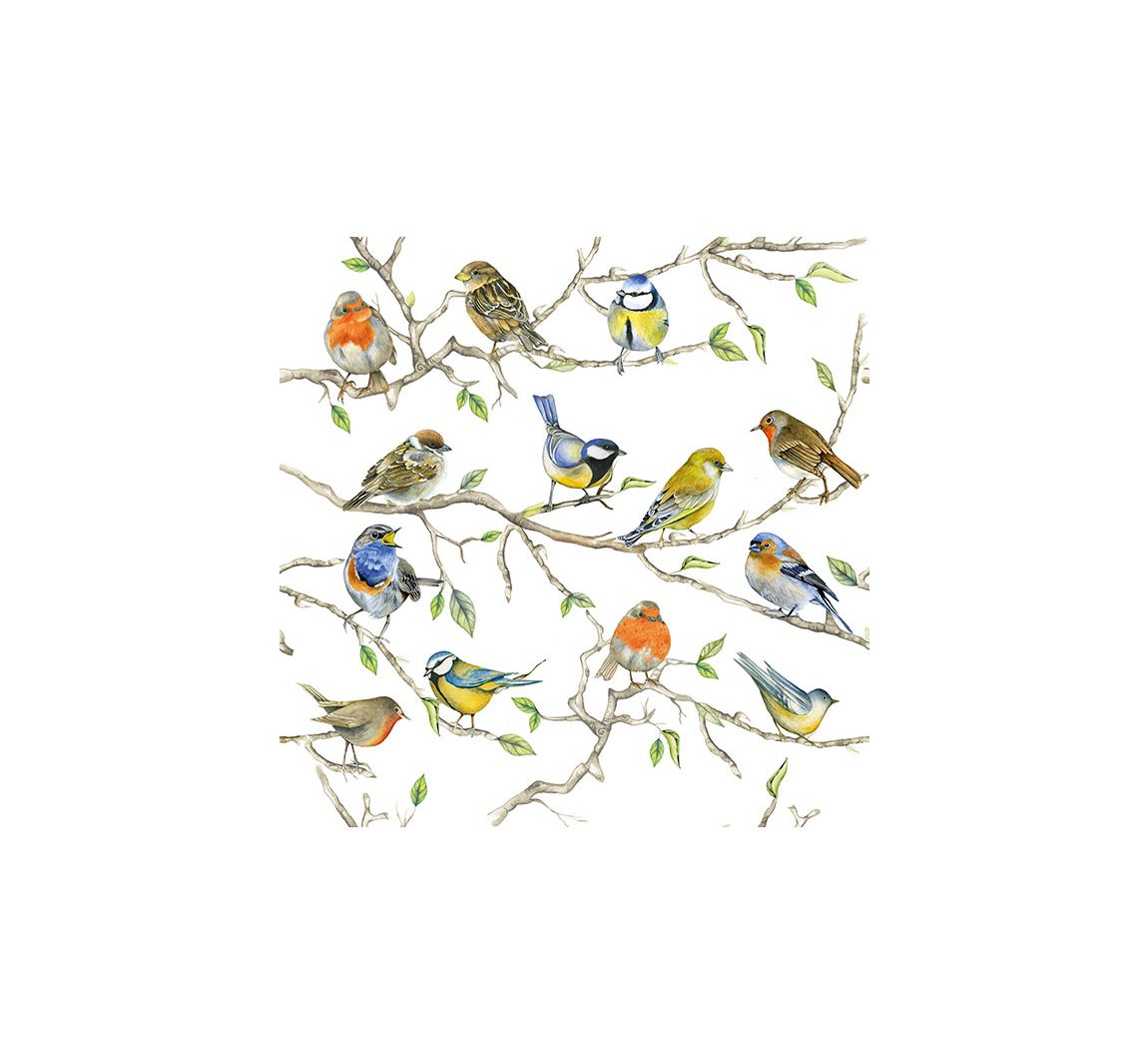 Serviette "Vogel-Treffen" - 20 Stück