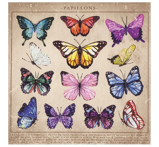 Serviette "Schmetterlings-Sammlung"