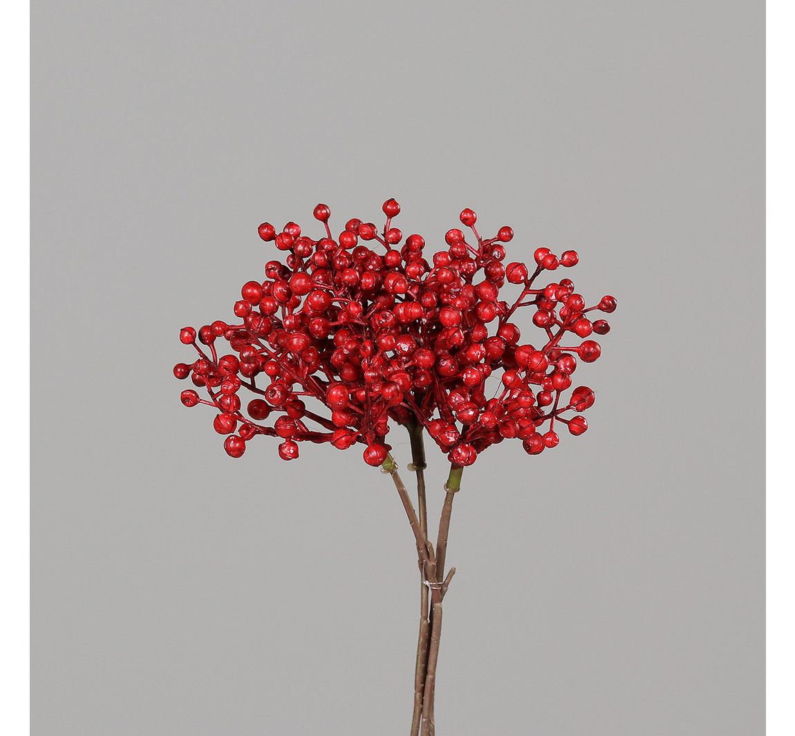 Beeren Bund Beryl - Rot