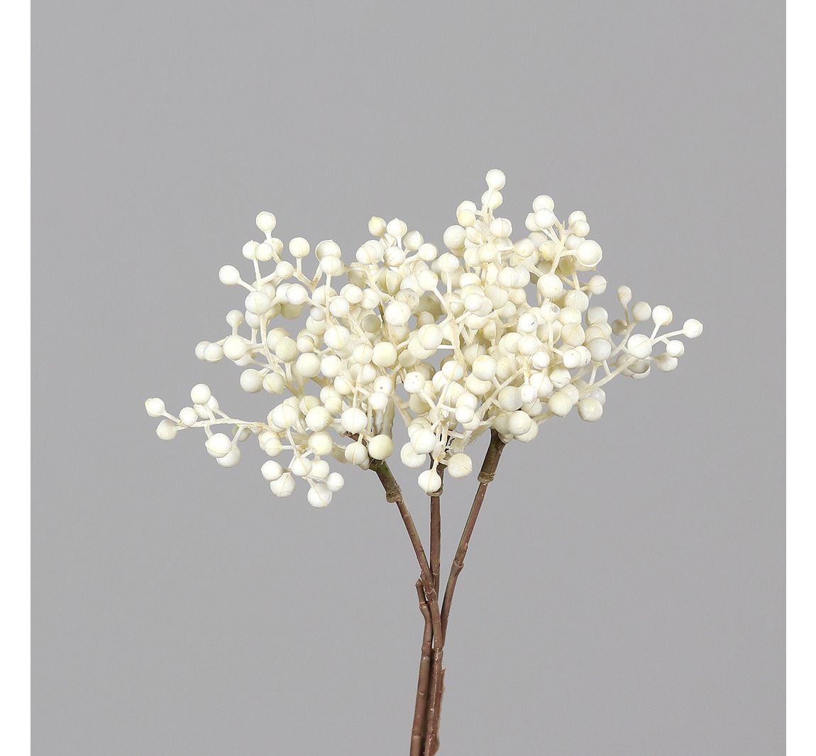 Beeren Bund Beryl - Weiß