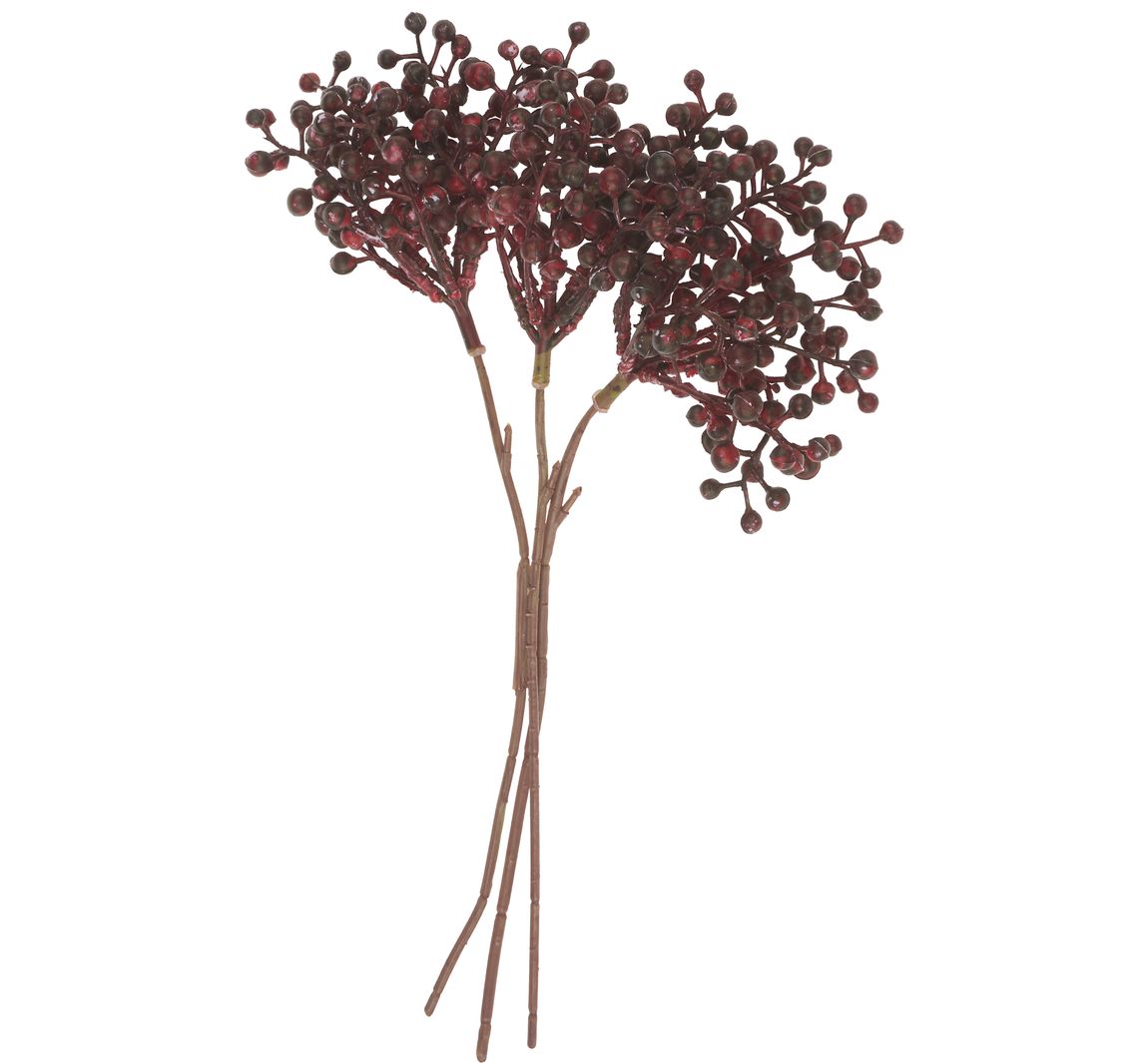 Beeren Bund Beryl - Bordeaux