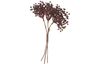 Beeren Bund "Beryl"