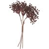 Beeren Bund "Beryl" Bordeaux