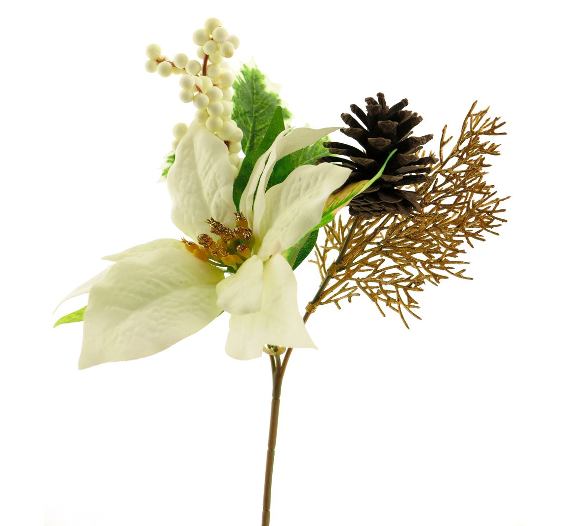 Weihnachtsstern Pick Whitley - Creme