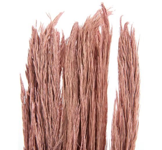 Trockenblumen "Sanmuga Grass"