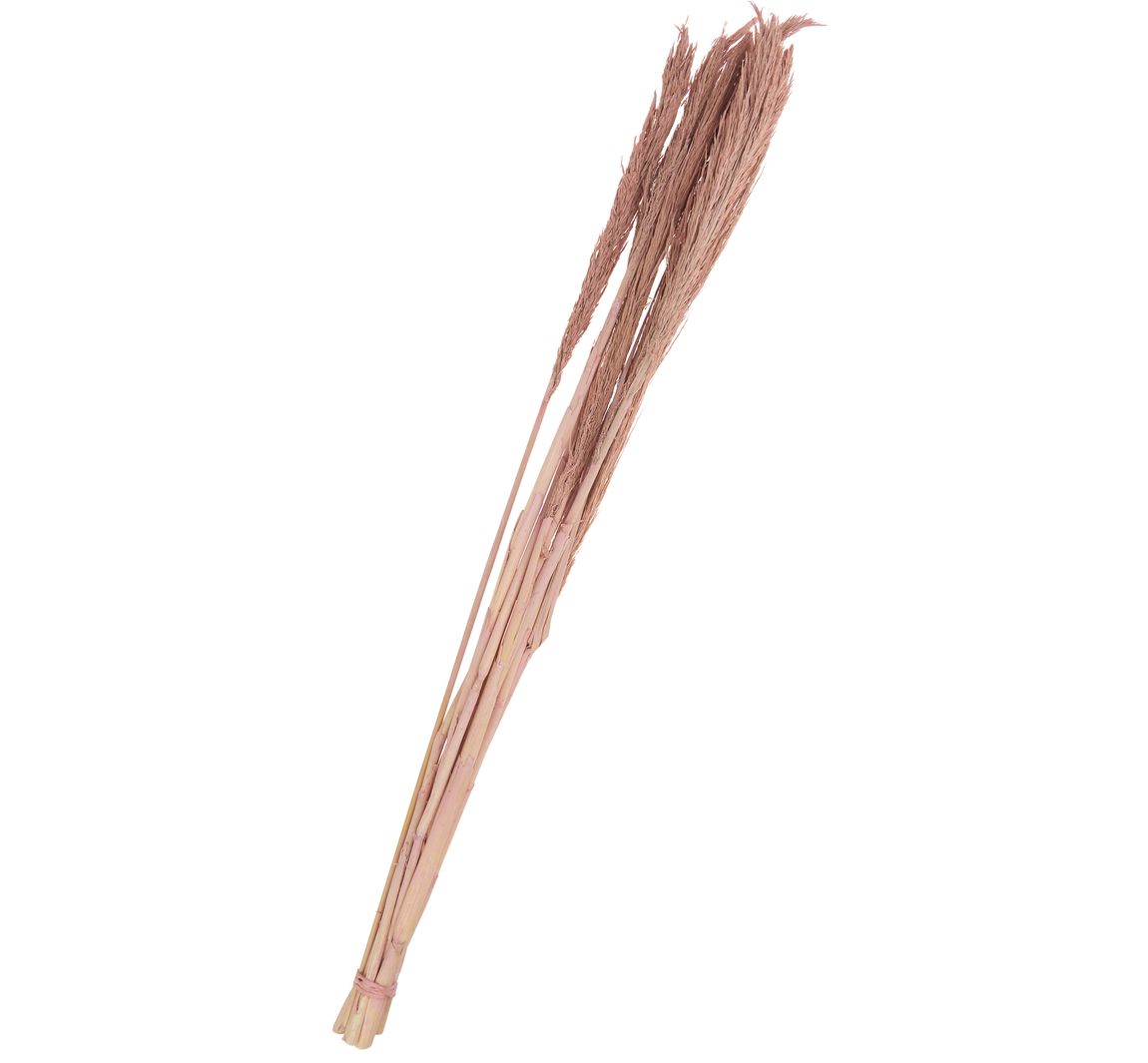 Trockenblumen "Sanmuga Grass" - Altrosa