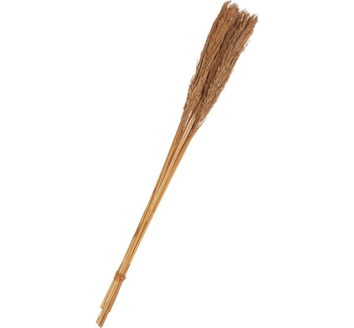 Trockenblumen "Sanmuga Grass" - Braun