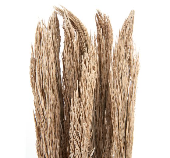 Trockenblumen "Sanmuga Grass"