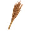 Trockenblumen "Oat Grass" Braun