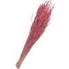 Trockenblumen "Phleum Pratensis" Rosa