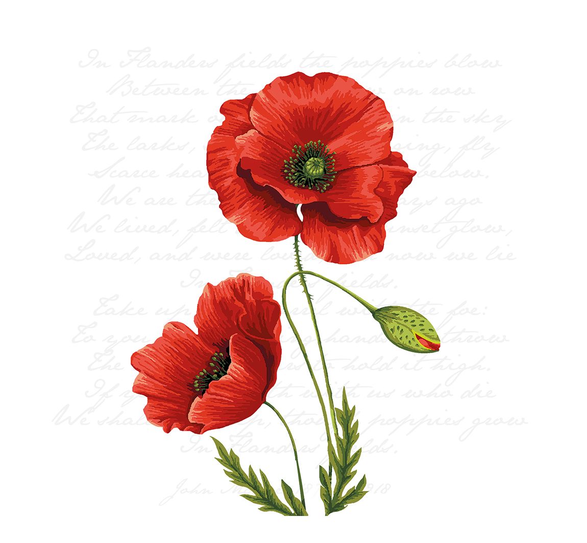 ambiente Serviette "Leuchtender Klatschmohn" - 20 Stück