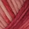 Schachenmayr Wash+Filz-it! Multicolor Wintrose color