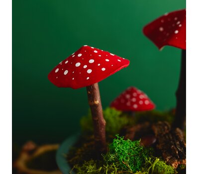pilze modellieren
