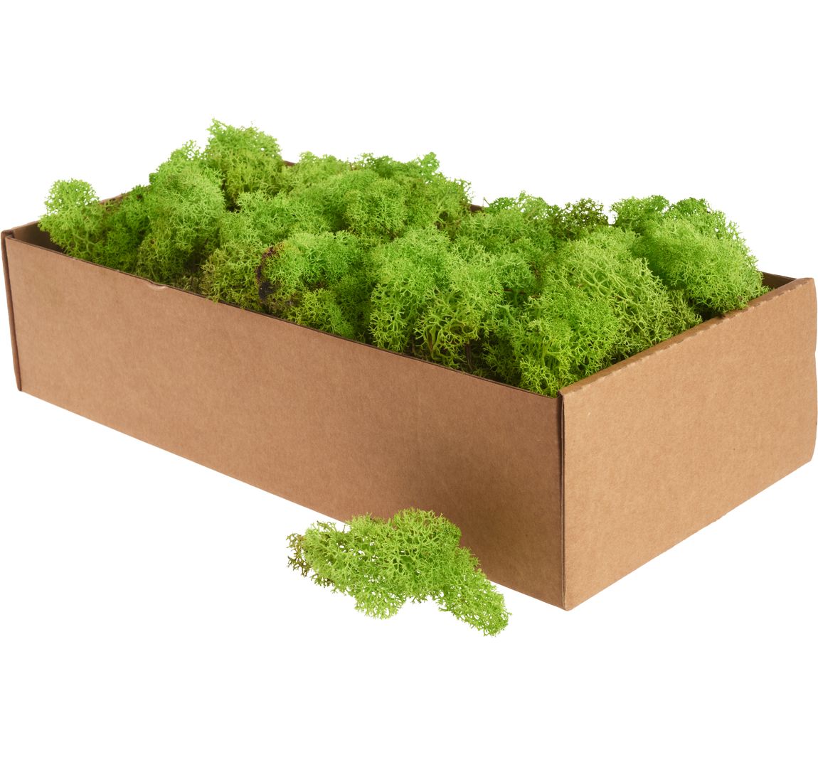 Islandmoos, 400 g - Hellgrün