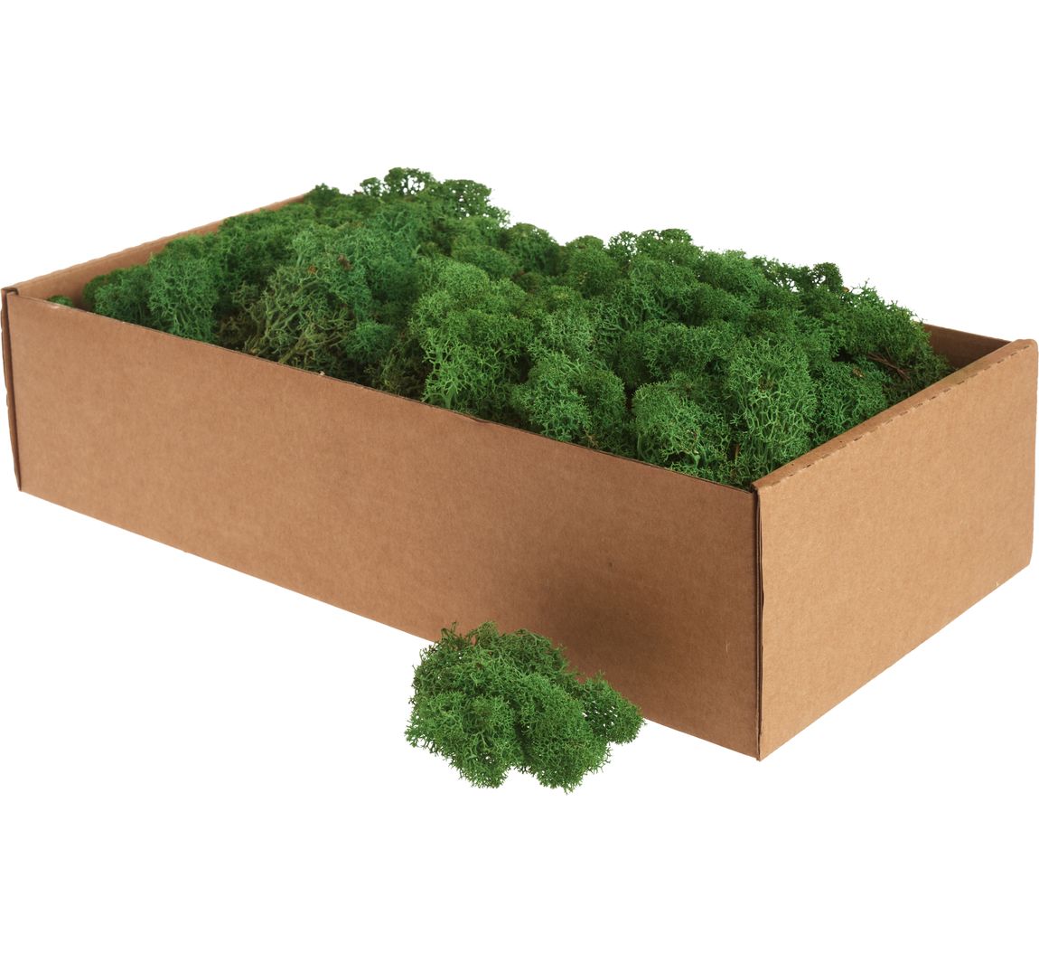 Islandmoos, 400 g - Dunkelgrün