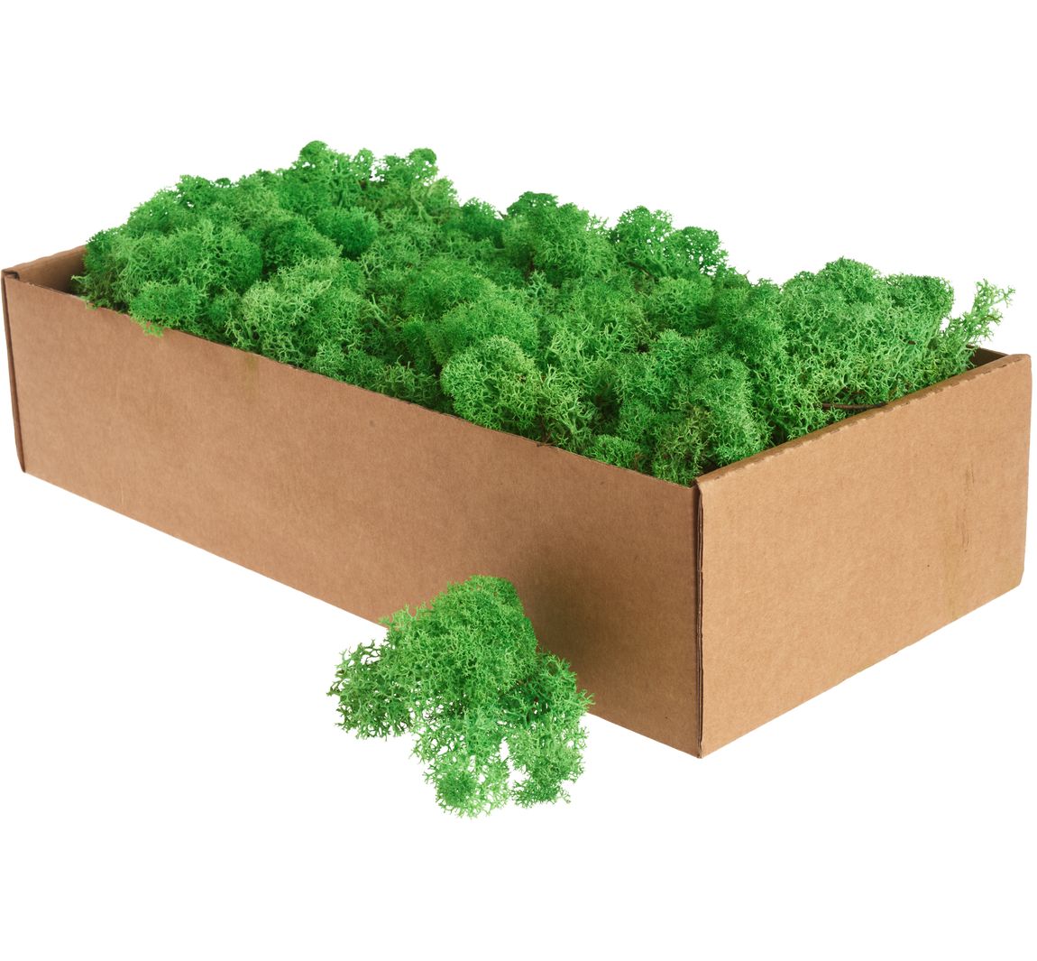 Islandmoos, 400 g - Maigrün