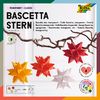 Bascetta-Stern Set "Transparent" Classic