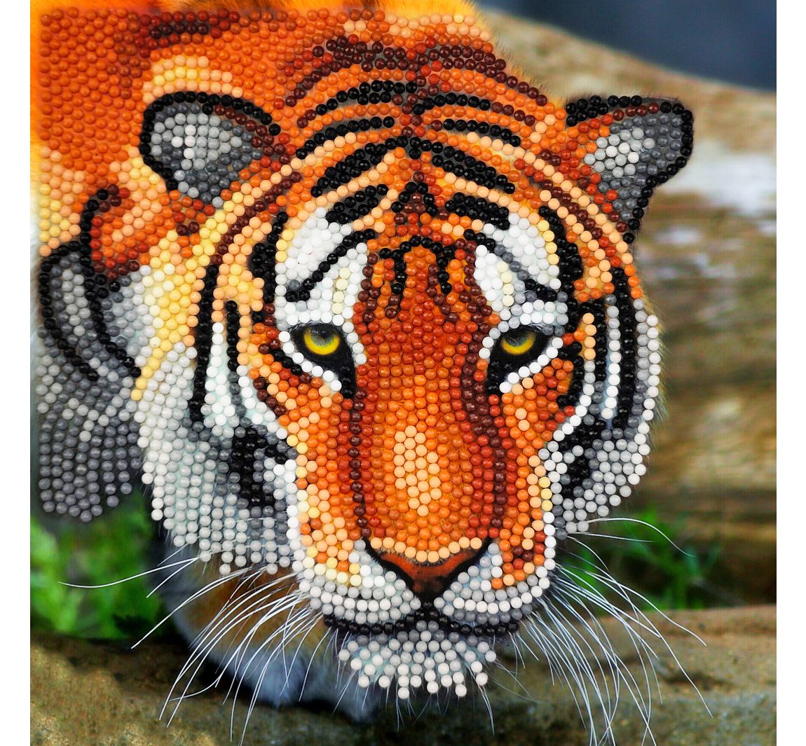 Diamond Painting "Crystal Art Card" - Tiger
