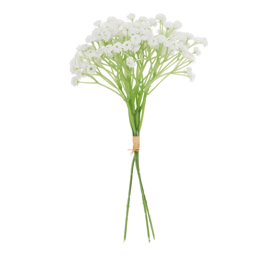 VBS Schleierkraut Bund "Florissa" - Weiß