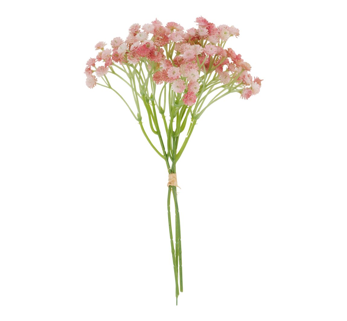 VBS Schleierkraut Bund "Florissa" - Rosa