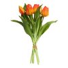 Tulips bunch with 3 flowers and 2 buds Orange