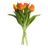 Tulips bunch with 3 flowers and 2 buds