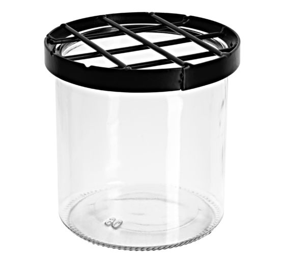 Glass vase with plug grid