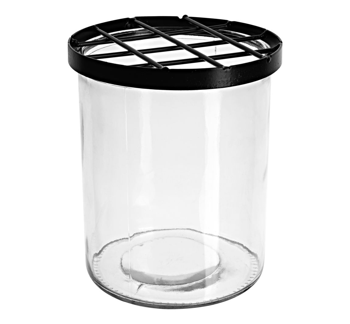 Glasvase mit Steckgitter - Ø 12 cm