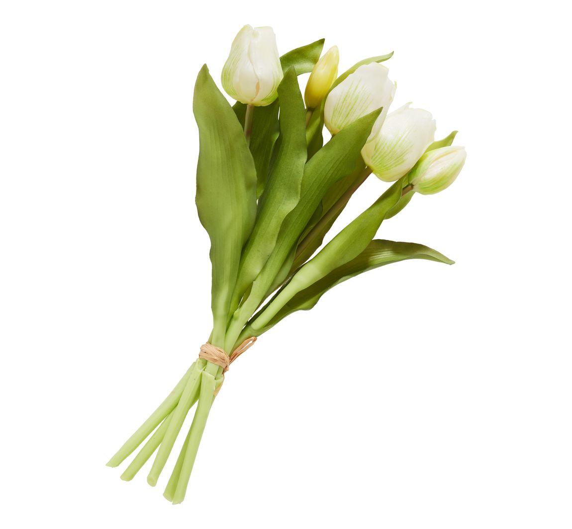 Tulpen-Bund mit 3 Blüten und 2 Knospen - Cream