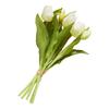Tulips bunch with 3 flowers and 2 buds
