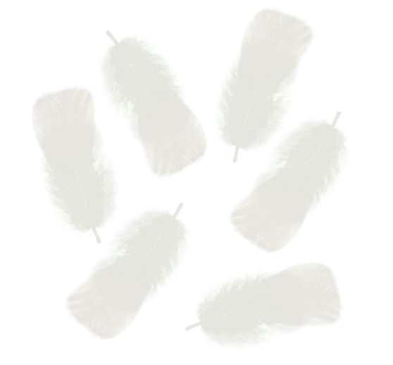 Flauschfedern, 100 g