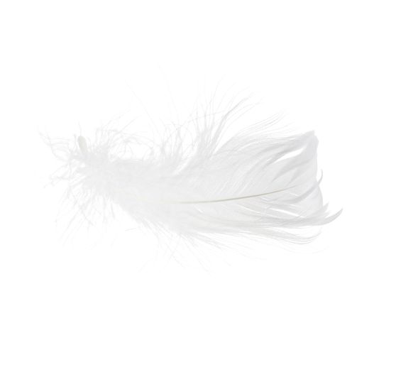 Goose feathers