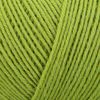 Regia my favourite sockyarn Farbe 00070