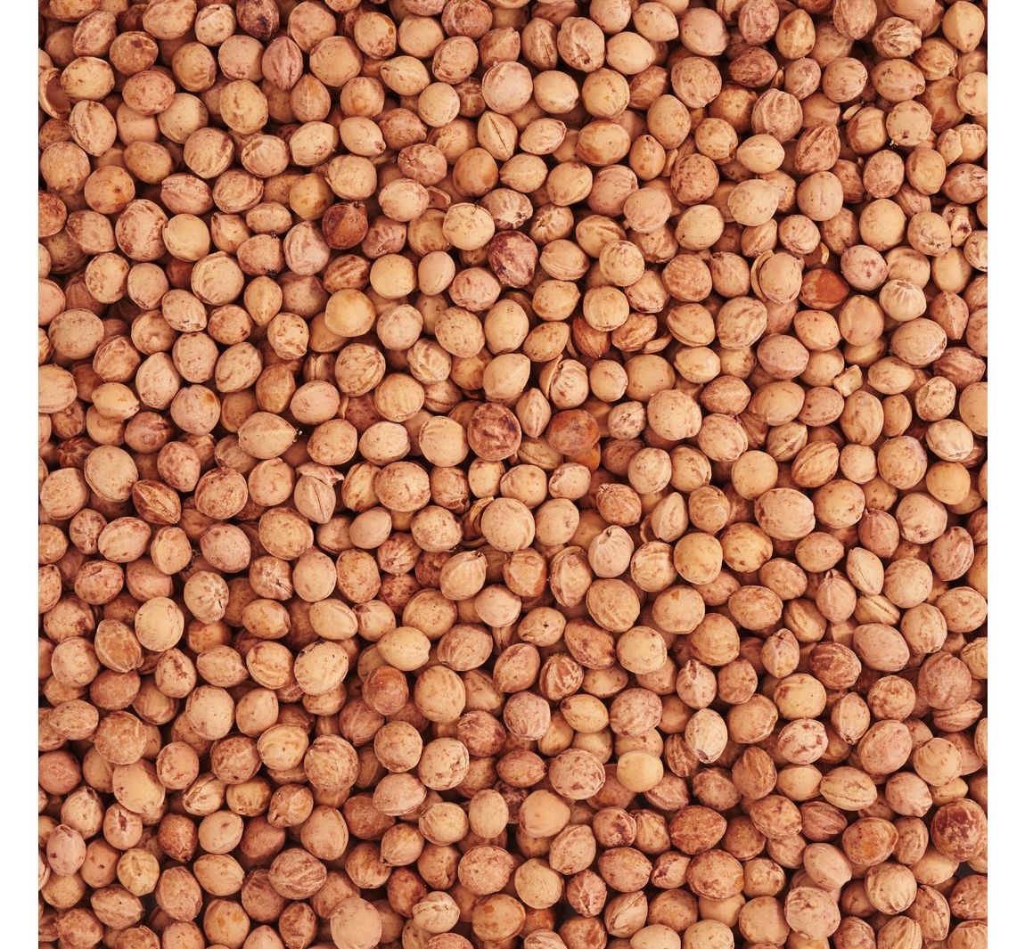 Kirschkerne 500g