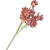 Succulent branch Red