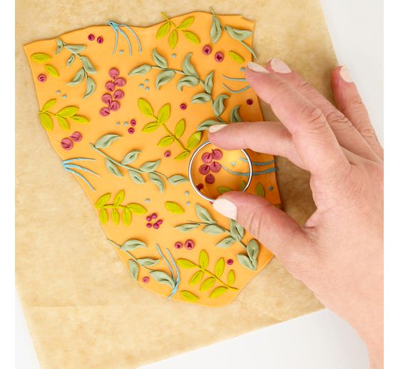 FIMO soft set