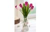 Tulpe Einzelstiel