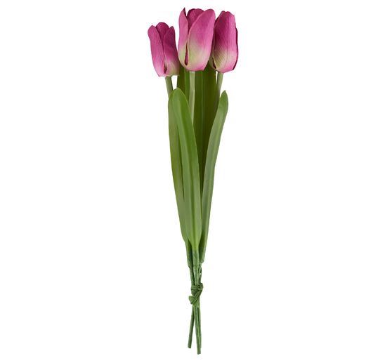 Tulpe Einzelstiel