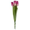Tulpe Einzelstiel Mauve